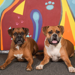 Fundraising Page: Lindsey Evans